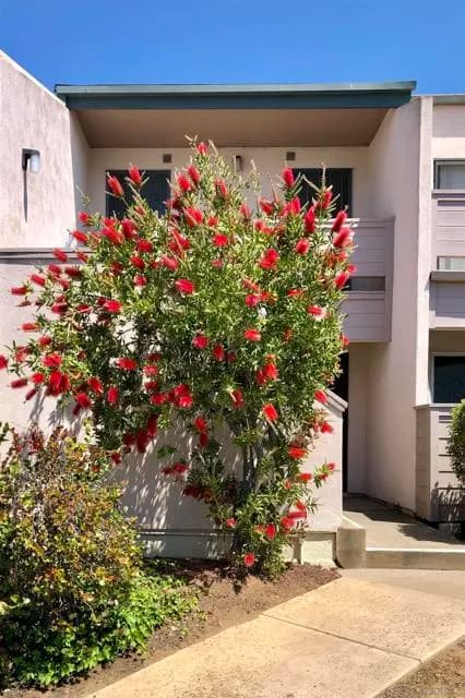 3254 Ashford St, San Diego, Active - Home for Sale